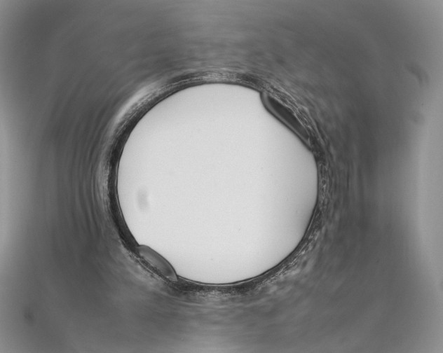 X0000111390197200908071303