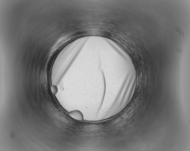X0000111390198200908071303
