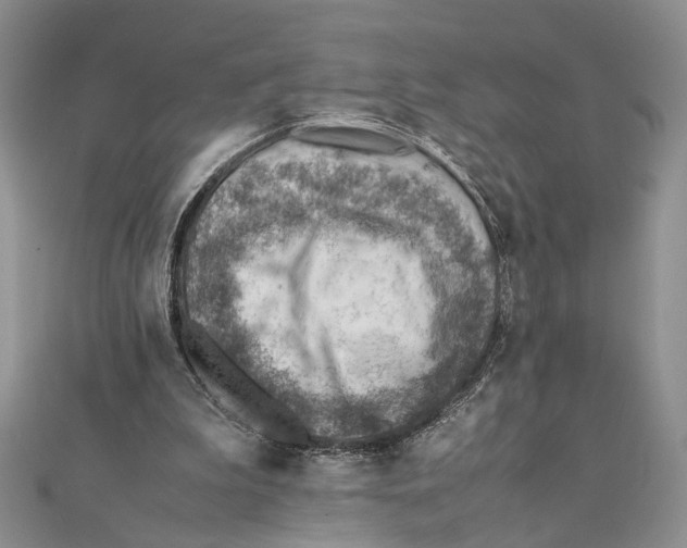 X0000111390199200908071303