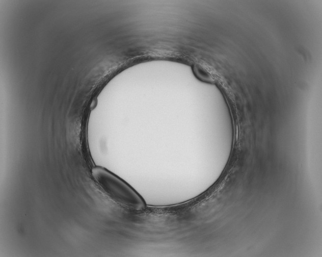 X0000111390201200908071303