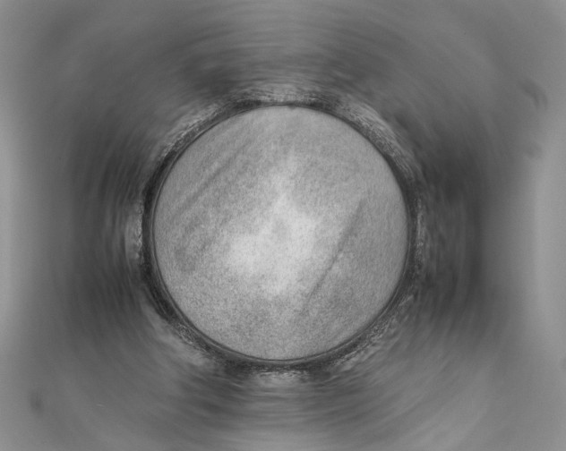 X0000111390202200908071303