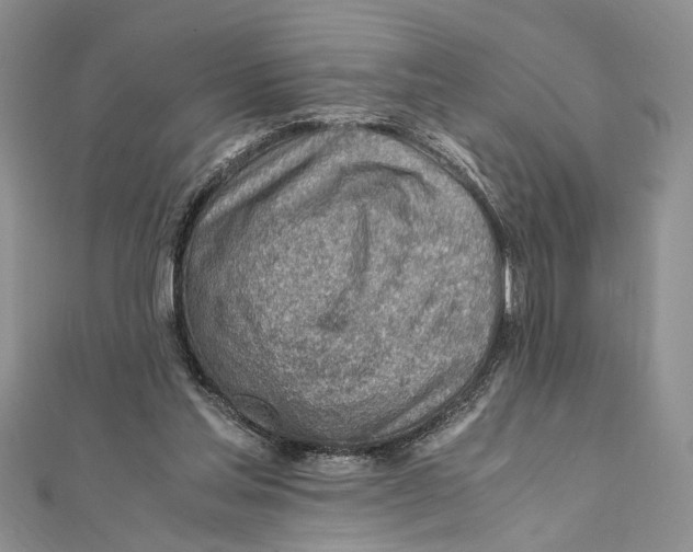 X0000111390205200908071303