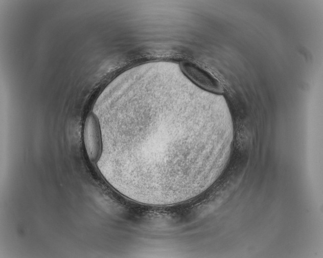 X0000111390207200908071303