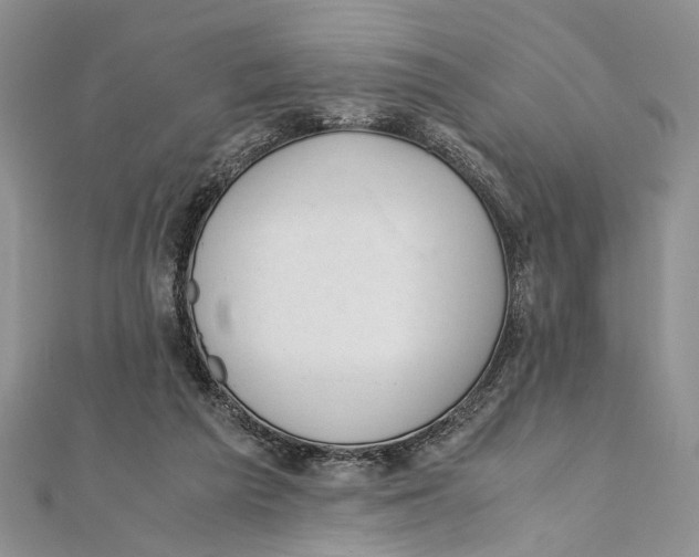 X0000111390209200908071303