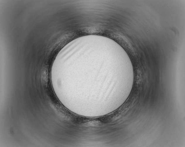 X0000111390210200908071303