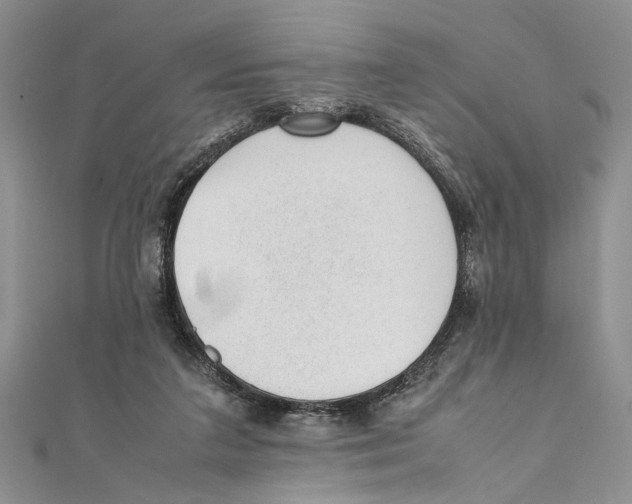 X0000111390211200908071303