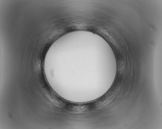 X0000111390213200908071303