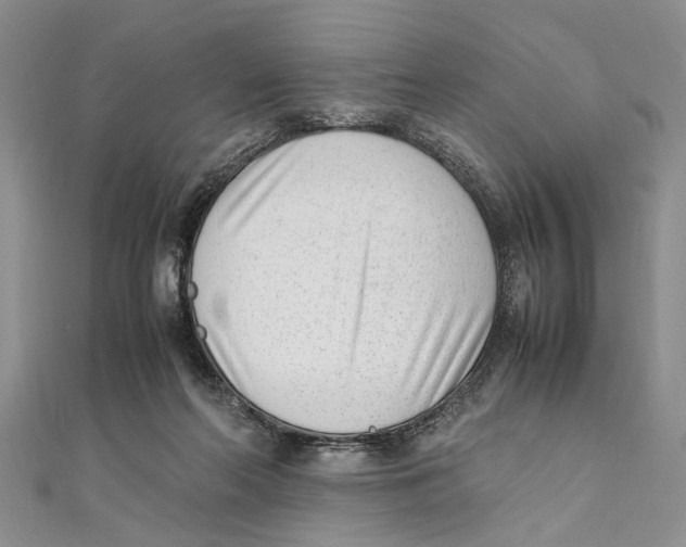 X0000111390214200908071303