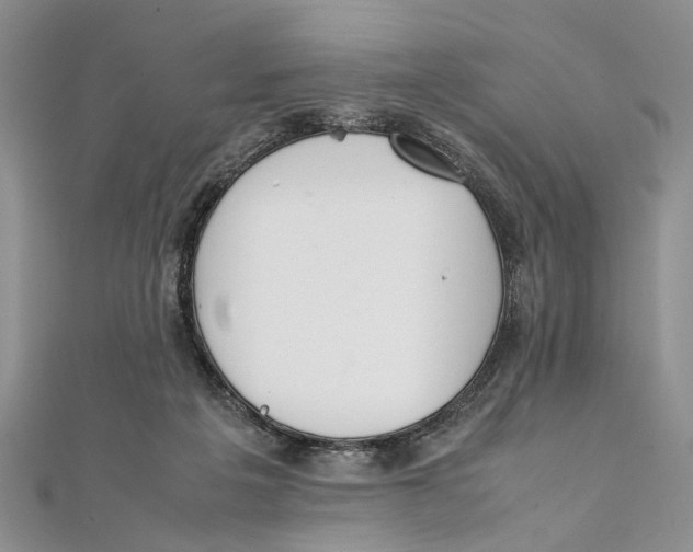 X0000111390217200908071303