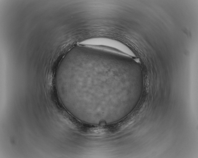 X0000111390219200908071303