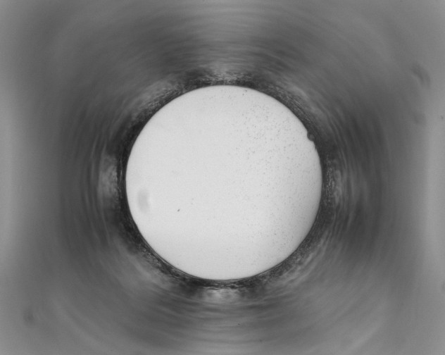 X0000111390220200908071303