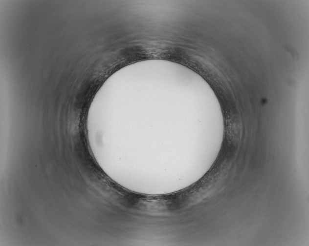 X0000111390221200908071303