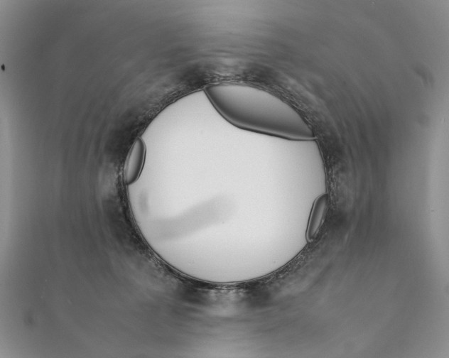 X0000111390225200908071303