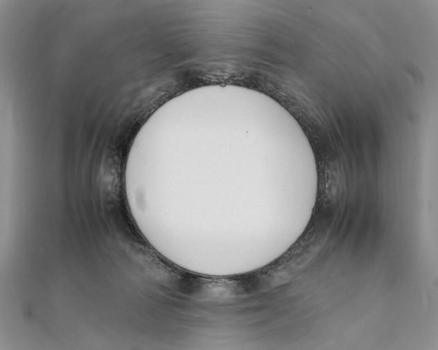 X0000111390226200908071303