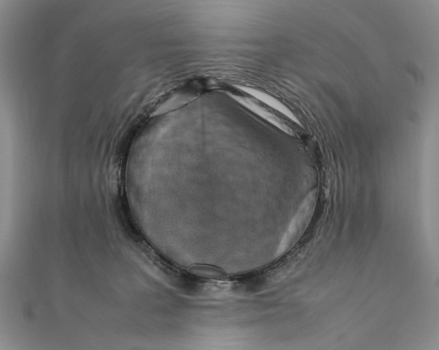 X0000111390227200908071303