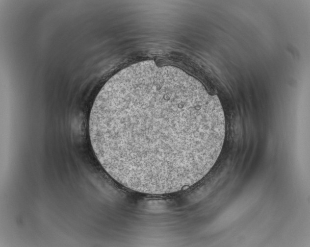 X0000111390228200908071303