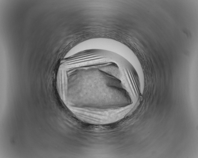 X0000111390229200908071303