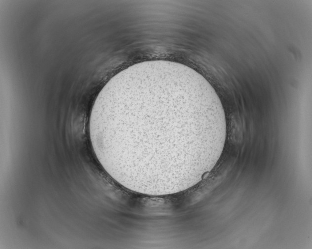 X0000111390230200908071303