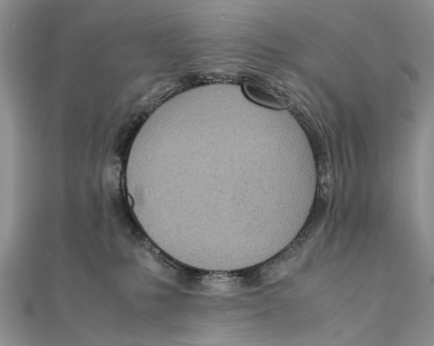 X0000111390231200908071303