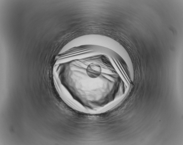 X0000111390233200908071302