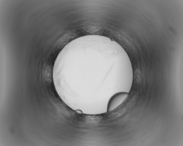 X0000111390234200908071302