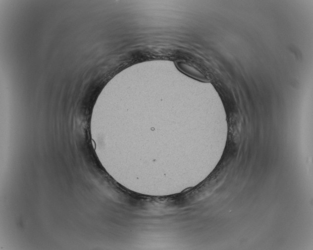 X0000111390235200908071302