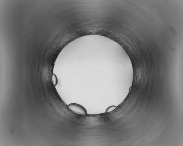 X0000111390236200908071302