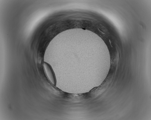 X0000111390239200908071302