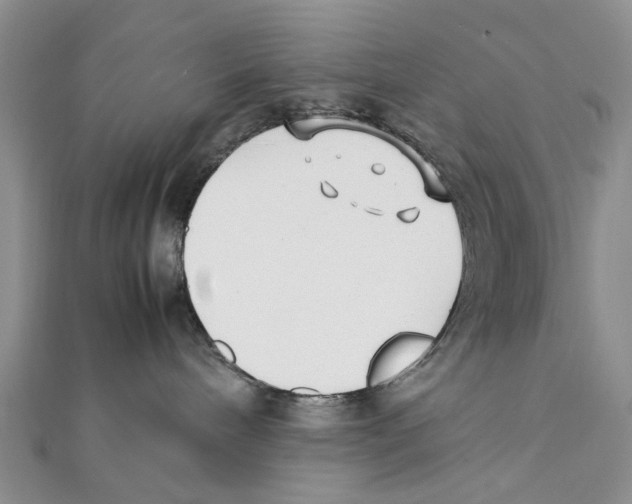 X0000111390240200908071302