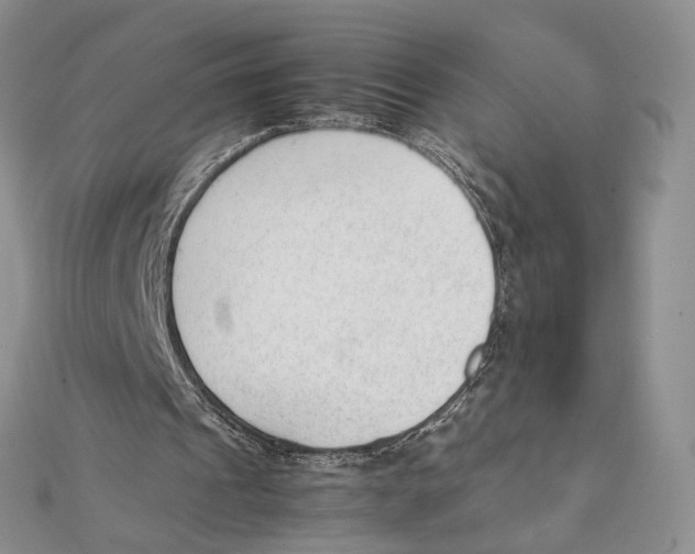 X0000111390241200908071301