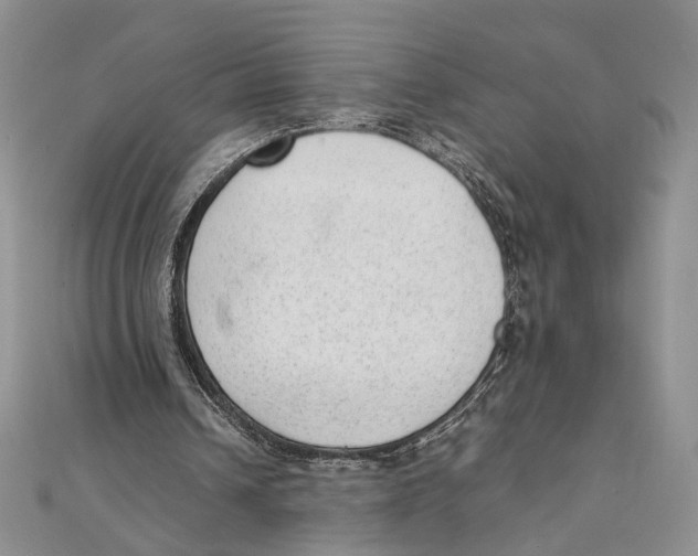 X0000111390242200908071302