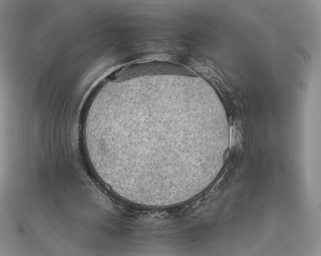 X0000111390243200908071302