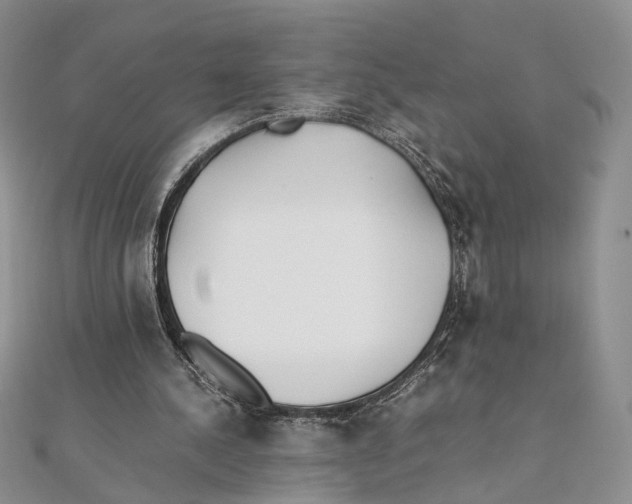 X0000111390244200908071302