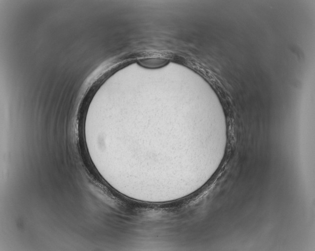 X0000111390246200908071302