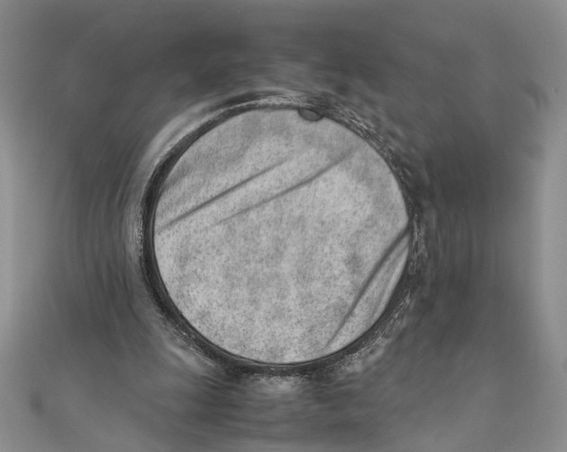 X0000111390247200908071302