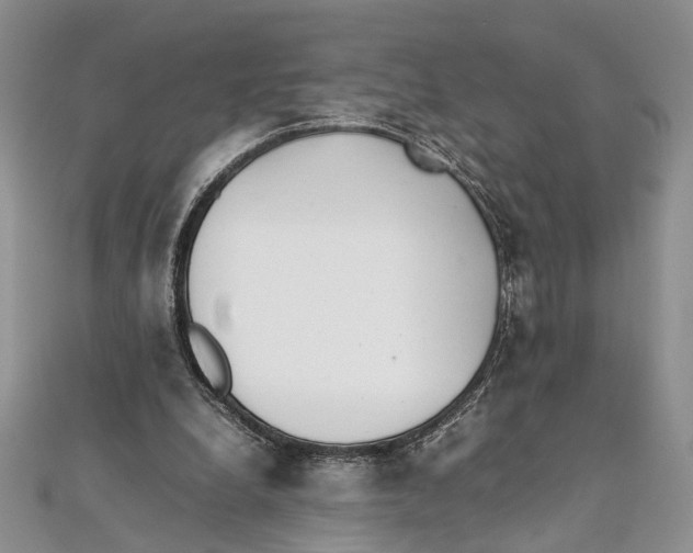 X0000111390248200908071302