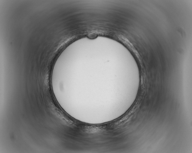 X0000111390249200908071302
