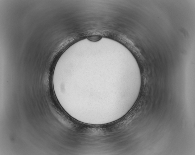 X0000111390250200908071302