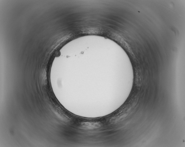 X0000111390251200908071302