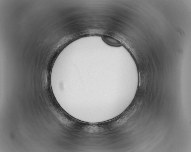 X0000111390253200908071302