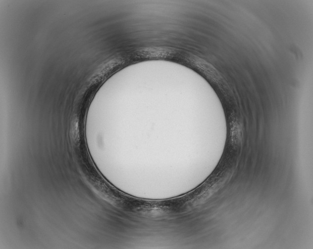 X0000111390254200908071302