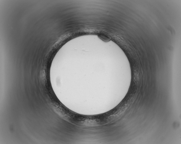 X0000111390256200908071302