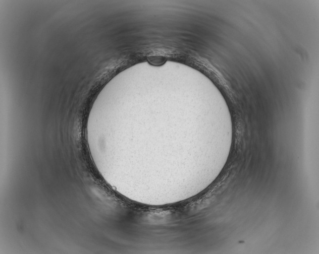 X0000111390257200908071302
