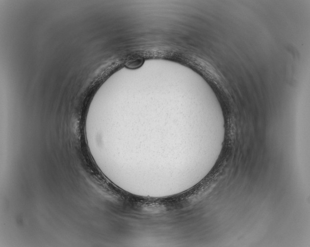 X0000111390258200908071302