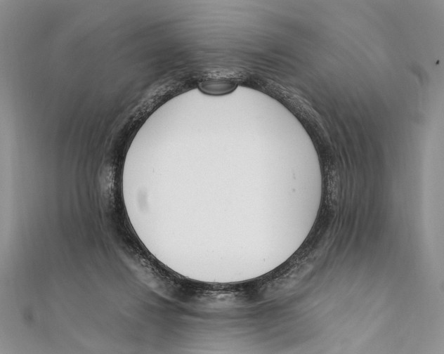 X0000111390260200908071302