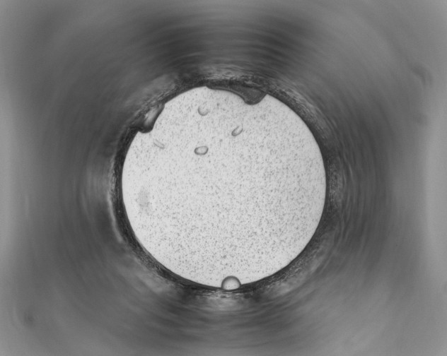 X0000111390261200908071302