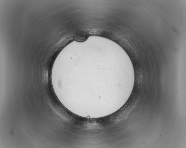 X0000111390262200908071302