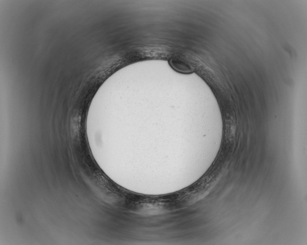 X0000111390263200908071302