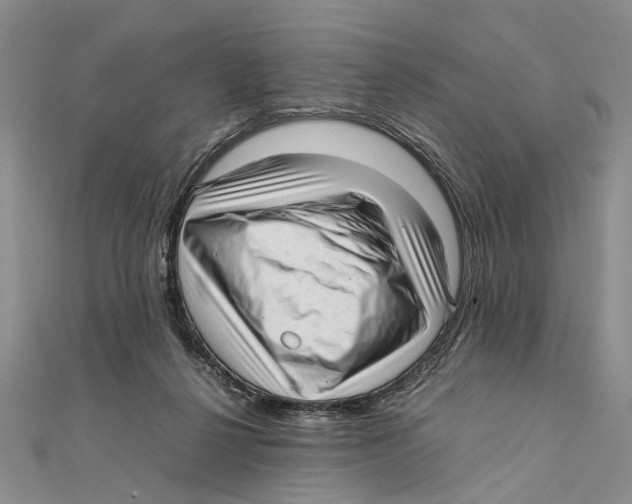 X0000111390264200908071302
