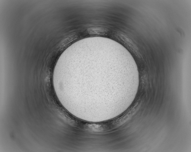 X0000111390265200908071302